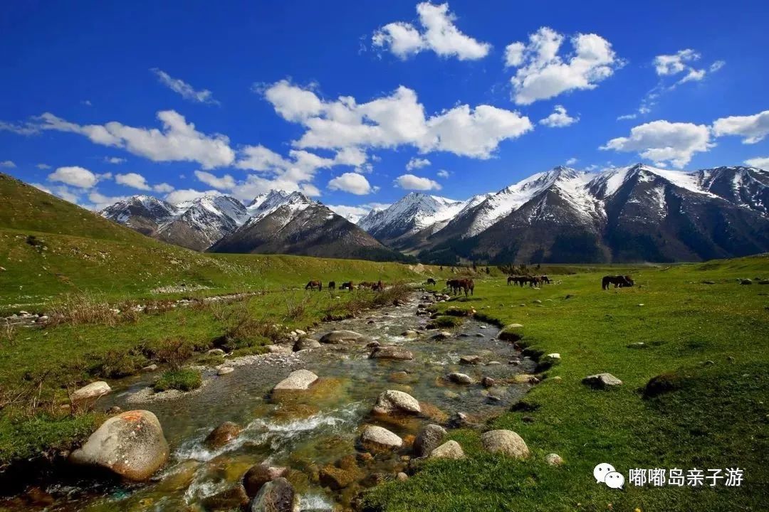 新疆，多元融合之魅力所在